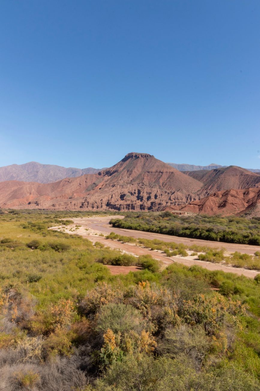 Hileras de viñedos en Cafayate rodeadas de montañas rojizas